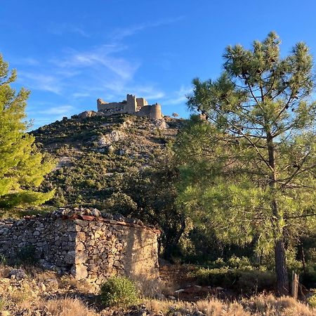 Chambres D'Hotes : Les Maisons De Gaia Tuchan Exterior foto